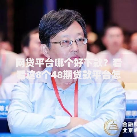 网贷平台哪个好下款？看看这8个48期贷款平台怎么样