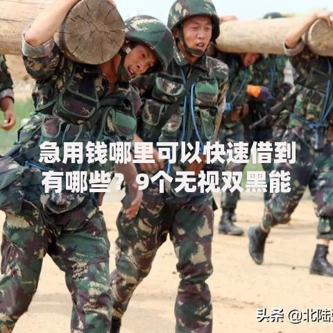 急用钱哪里可以快速借到有哪些？9个无视双黑能下款的口子推荐给你