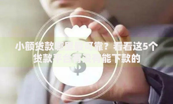 小额贷款哪里最可靠？看看这5个贷款平台有没有能下款的