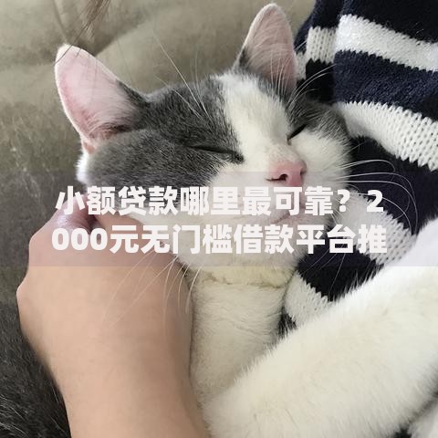 小额贷款哪里最可靠?2000元无门槛借款平台推荐,8个容易通过的网贷平台盘点 小额贷款哪里最可靠?2000元无门槛借款平台推荐,8个容易通过的网贷平台盘点