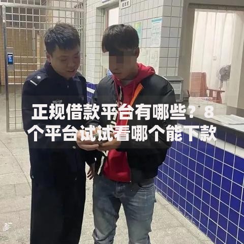 正规借款平台有哪些?8个平台试试看哪个能下款 正规借款平台有哪些?8个平台试试看哪个能下款