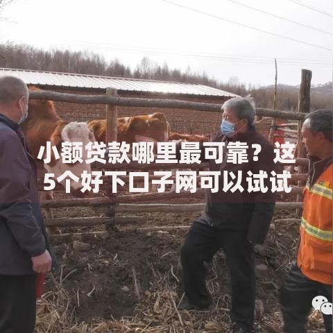 小额贷款哪里最可靠?这5个好下口子网可以试试 小额贷款哪里最可靠?这5个好下口子网可以试试