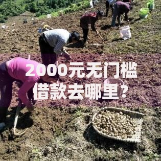 2000元无门槛借款去哪里？小额贷款哪里最可靠看这8个平台