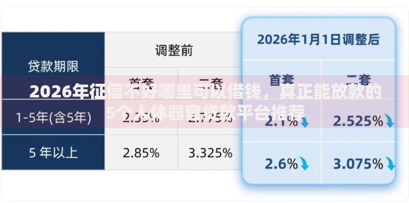 2026年征信不好哪里可以借钱,真正能放款的5个人体器官贷款平台推荐 2026年征信不好哪里可以借钱,真正能放款的5个人体器官贷款平台推荐