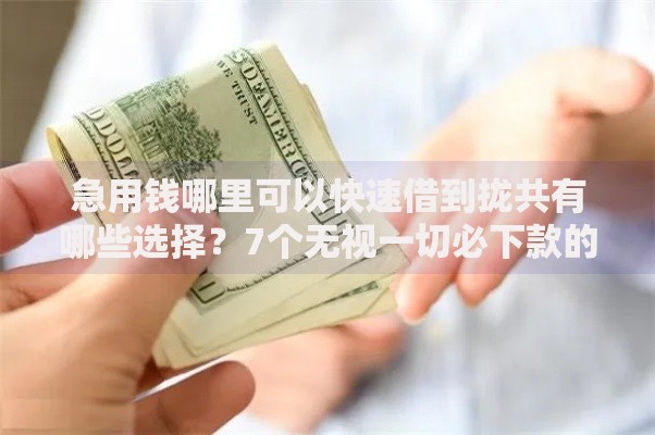 急用钱哪里可以快速借到拢共有哪些选择?7个无视一切必下款的口子详解 急用钱哪里可以快速借到拢共有哪些选择?7个无视一切必下款的口子详解