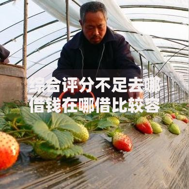 综合评分不足去哪借钱在哪借比较容易？类似强制下款的5个口子参考