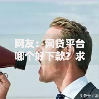 网友:网贷平台哪个好下款?求介绍几款简单容易贷款软件 网友:网贷平台哪个好下款?求介绍几款简单容易贷款软件