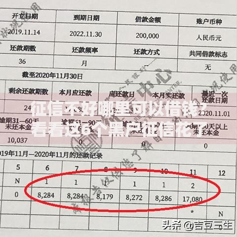 征信不好哪里可以借钱?看看这6个黑户征信花了能借钱的平台怎么样 征信不好哪里可以借钱?看看这6个黑户征信花了能借钱的平台怎么样