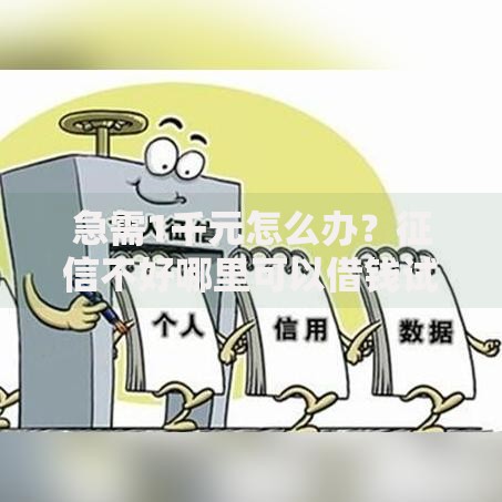 急需1千元怎么办?征信不好哪里可以借钱试试这5个无门槛平台 急需1千元怎么办?征信不好哪里可以借钱试试这5个无门槛平台
