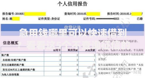 急用钱哪里可以快速借到?看看这5个不查询征信的贷款平台怎么样 急用钱哪里可以快速借到?看看这5个不查询征信的贷款平台怎么样