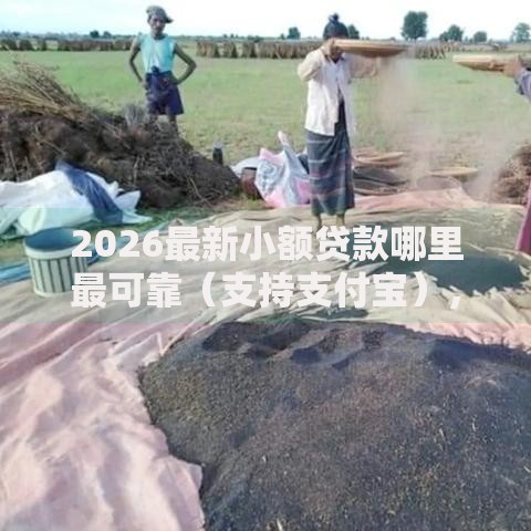 2026最新小额贷款哪里最可靠(支持支付宝),5个芝麻分700能秒下的口子无私分享 2026最新小额贷款哪里最可靠(支持支付宝),5个芝麻分700能秒下的口子无私分享