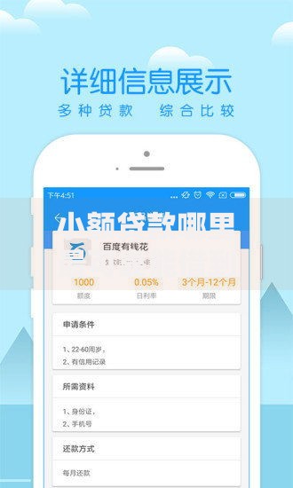 小额贷款哪里最可靠能借到钱吗？5000元无门槛借款5个平台推荐