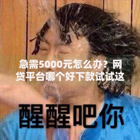 急需5000元怎么办?网贷平台哪个好下款试试这8个无门槛平台 急需5000元怎么办?网贷平台哪个好下款试试这8个无门槛平台