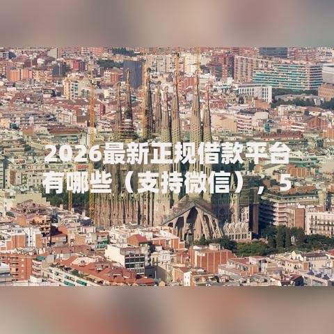 2026最新正规借款平台有哪些（支持微信），5个黑户无条件下款的口子无私分享