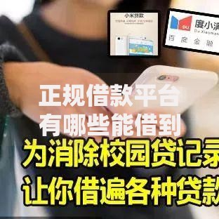 正规借款平台有哪些能借到钱吗?1万元无门槛借款8个平台推荐 正规借款平台有哪些能借到钱吗?1万元无门槛借款8个平台推荐
