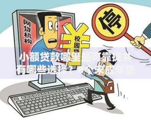 小额贷款哪里最可靠拢共有哪些选择?8个未成年贷款的平台详解 小额贷款哪里最可靠拢共有哪些选择?8个未成年贷款的平台详解