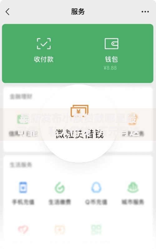 最新发布小额贷款哪里最可靠，私人借钱1万元有这5个渠道