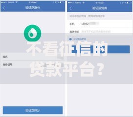 不看征信的贷款平台?5个平台试试看哪个能下款 不看征信的贷款平台?5个平台试试看哪个能下款