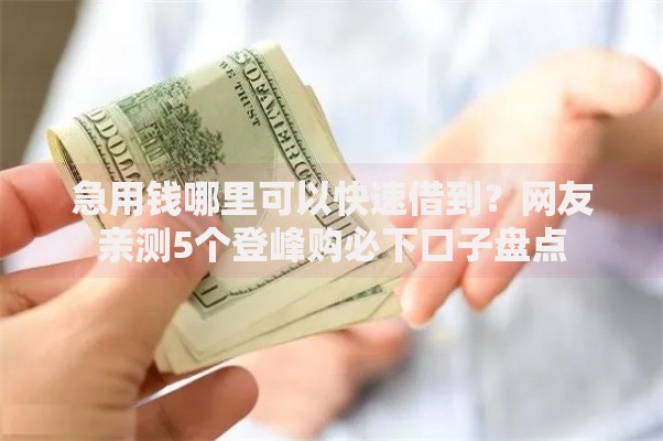 急用钱哪里可以快速借到?网友亲测5个登峰购必下口子盘点 急用钱哪里可以快速借到?网友亲测5个登峰购必下口子盘点