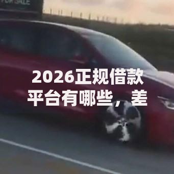 2026正规借款平台有哪些,差7千元就选这7个平台 2026正规借款平台有哪些,差7千元就选这7个平台