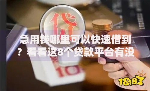 急用钱哪里可以快速借到?看看这8个贷款平台有没有能下款的 急用钱哪里可以快速借到?看看这8个贷款平台有没有能下款的