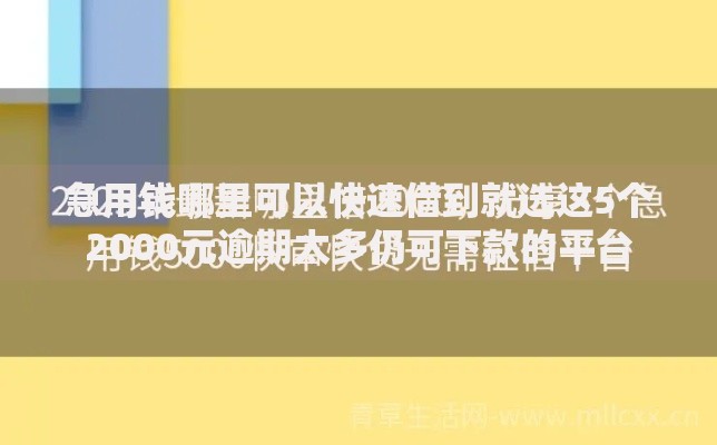 急用钱哪里可以快速借到就选这5个2000元逾期太多仍可下款的平台 急用钱哪里可以快速借到就选这5个2000元逾期太多仍可下款的平台