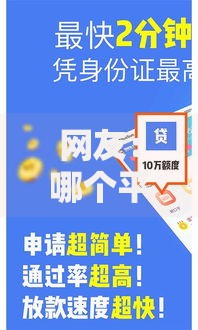 网友：哪个平台借钱最容易通过？求介绍几款征信花了可以贷款的平台