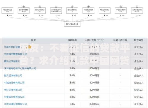 网友：不看征信的贷款平台？求介绍几款中国网贷平台排名不分先后