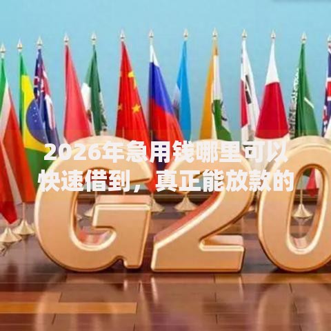 2026年急用钱哪里可以快速借到,真正能放款的5个起诉网贷平台推荐 2026年急用钱哪里可以快速借到,真正能放款的5个起诉网贷平台推荐