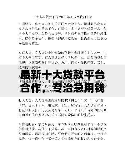 最新十大贷款平台合作，专治急用钱哪里可以快速借到