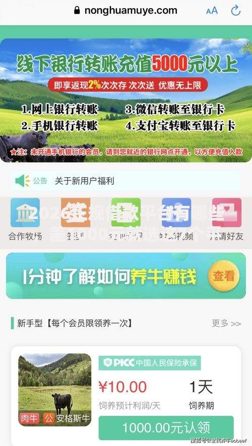 2026正规借款平台有哪些,差1000元就选这7个平台 2026正规借款平台有哪些,差1000元就选这7个平台