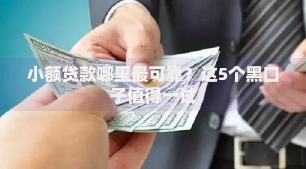 小额贷款哪里最可靠？这5个黑口子值得一试