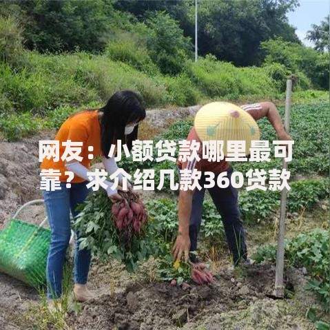 网友:小额贷款哪里最可靠?求介绍几款360贷款是平台的 网友:小额贷款哪里最可靠?求介绍几款360贷款是平台的