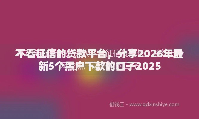 不看征信的贷款平台,分享2026年最新5个黑户下款的口子2025 不看征信的贷款平台,分享2026年最新5个黑户下款的口子2025