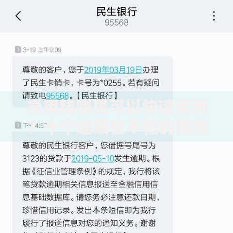 急用钱哪里可以快速借到？十个逾期也不怕的网络贷款平台哪家好