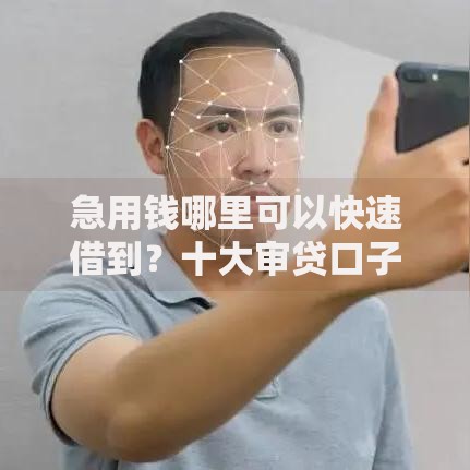 急用钱哪里可以快速借到？十大审贷口子审核加快的口子推荐