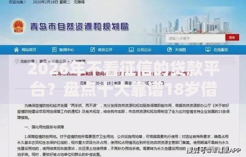 2026年不看征信的贷款平台?盘点十大靠谱18岁借钱平台 2026年不看征信的贷款平台?盘点十大靠谱18岁借钱平台