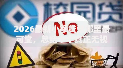 2026最新小额贷款哪里最可靠,总结十个真正无视风控黑白的网贷平台! 2026最新小额贷款哪里最可靠,总结十个真正无视风控黑白的网贷平台!