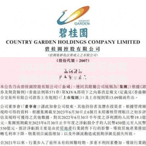 2026年正规借款平台有哪些网友分享的7个哪些贷款平台利息低我觉得不错！