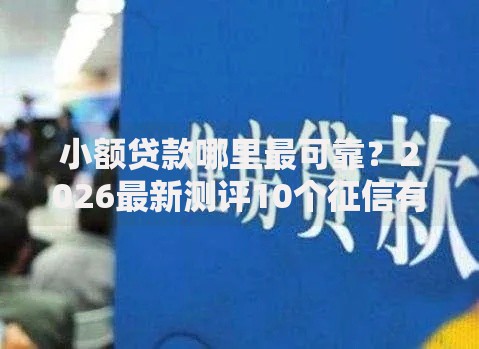 小额贷款哪里最可靠?2026最新测评10个征信有问题还可以借钱出来的平台 小额贷款哪里最可靠?2026最新测评10个征信有问题还可以借钱出来的平台