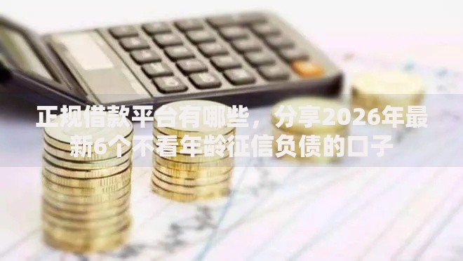 正规借款平台有哪些，分享2026年最新6个不看年龄征信负债的口子