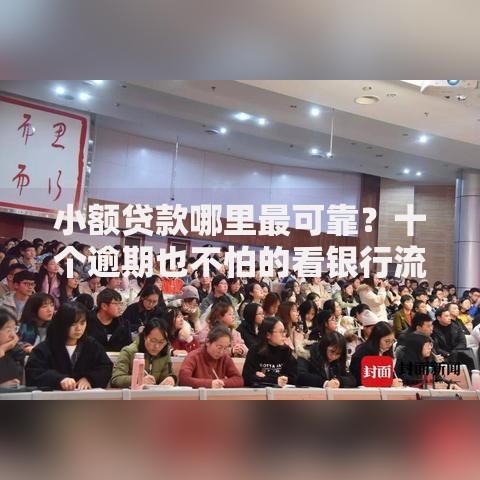 小额贷款哪里最可靠?十个逾期也不怕的看银行流水的网贷软件 小额贷款哪里最可靠?十个逾期也不怕的看银行流水的网贷软件