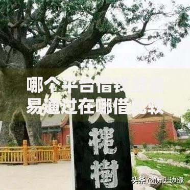 哪个平台借钱最容易通过在哪借比较容易？类似强制下款的8个口子参考