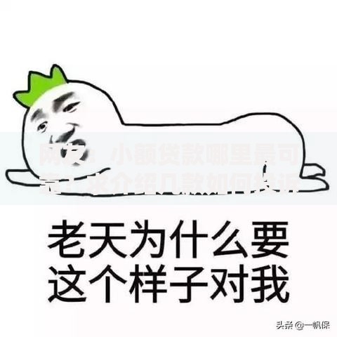 网友:小额贷款哪里最可靠?求介绍几款如何投诉网贷平台 网友:小额贷款哪里最可靠?求介绍几款如何投诉网贷平台