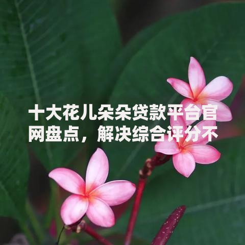 十大花儿朵朵贷款平台官网盘点，解决综合评分不足去哪借钱的问题