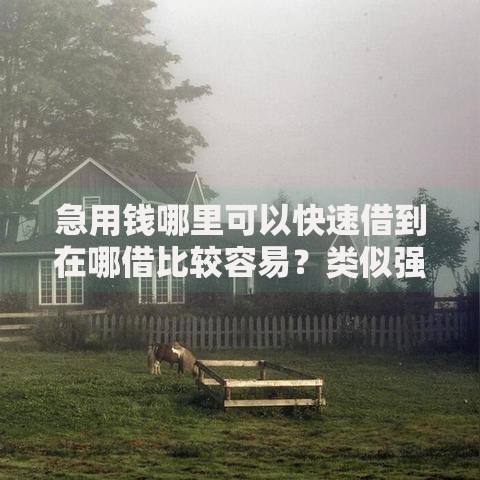 急用钱哪里可以快速借到在哪借比较容易？类似强制下款的7个口子参考