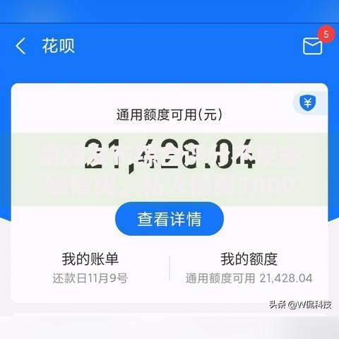最新发布综合评分不足去哪借钱，私人借钱10000元有这6个渠道