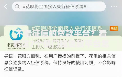 不看征信的贷款平台?看看这7个低门槛贷款平台怎么样 不看征信的贷款平台?看看这7个低门槛贷款平台怎么样