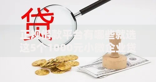 正规借款平台有哪些就选这5个1000元小微企业贷款平台