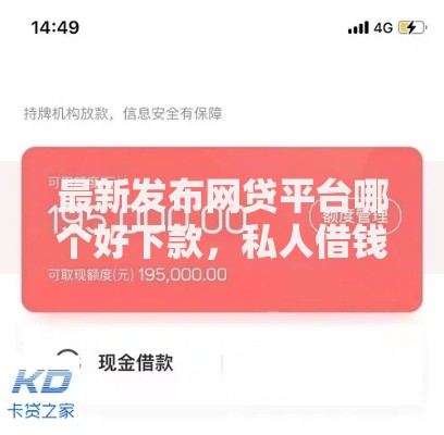 最新发布网贷平台哪个好下款，私人借钱10000元有这5个渠道